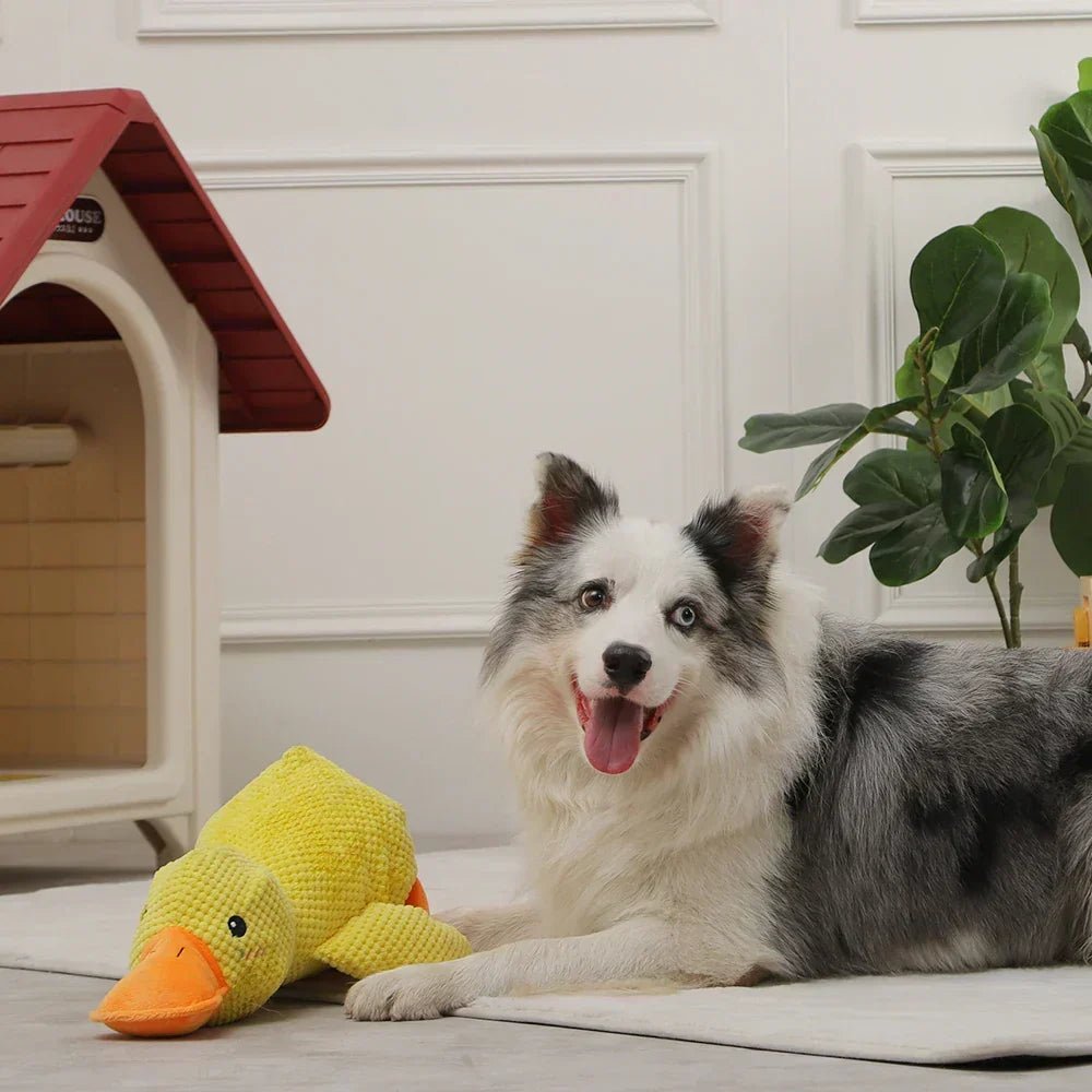 Halloween Deal Quacking Duck Plush Dog Toy – Soft Interactive Cuddle Toy - Image 2