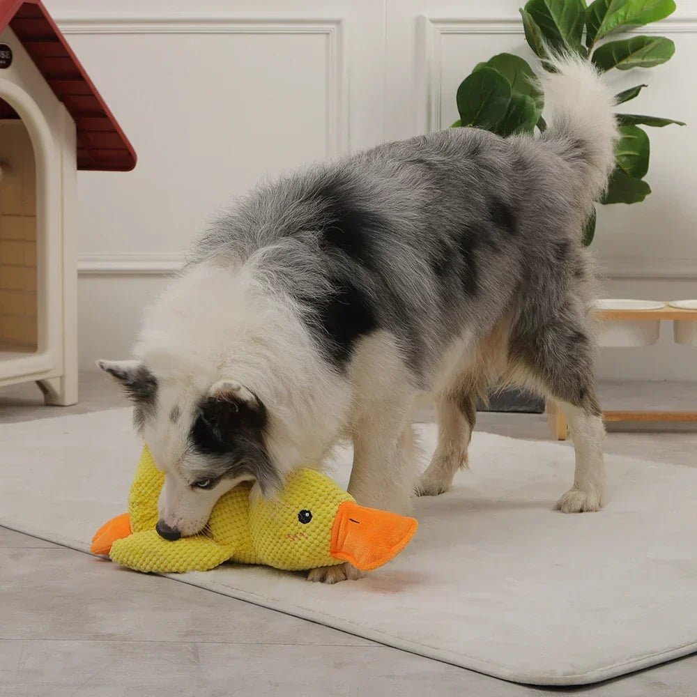 Halloween Deal Quacking Duck Plush Dog Toy – Soft Interactive Cuddle Toy - Image 3