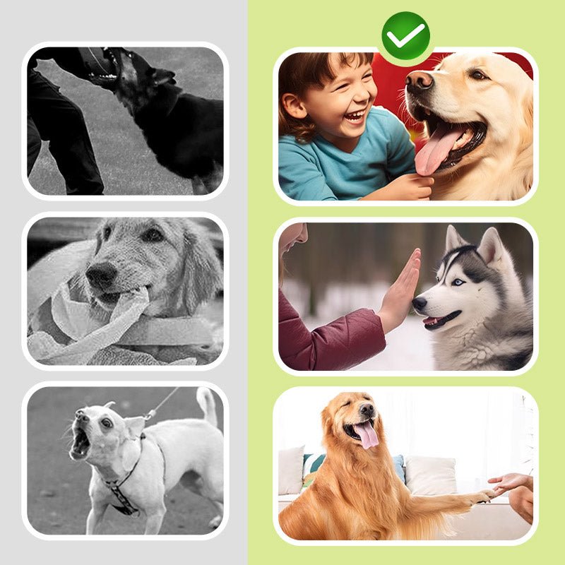 Quiet Companion: ultrasonic dog repeller for easy barking troubles - Image 2