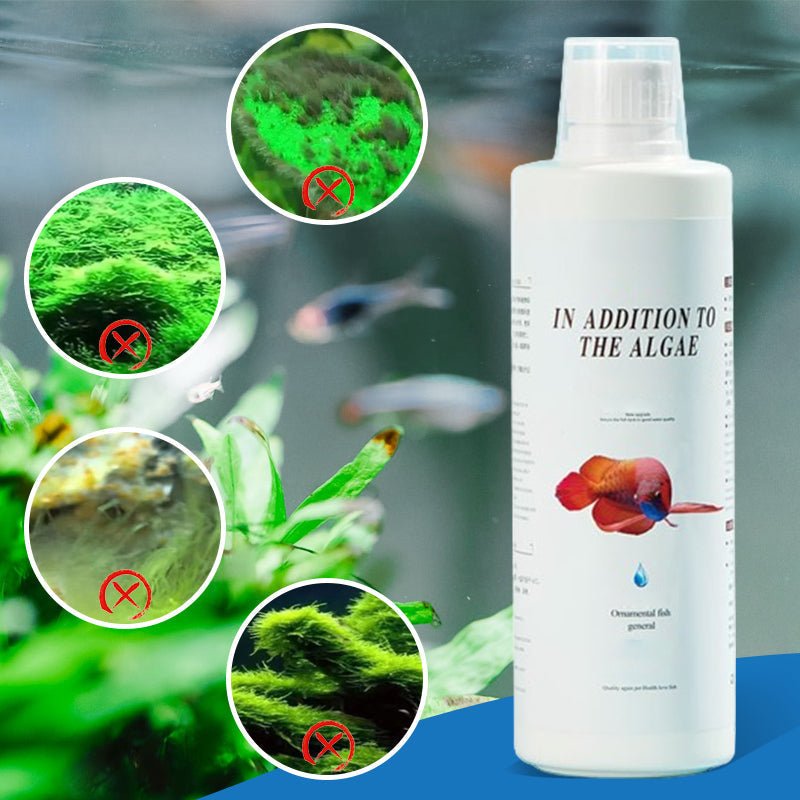 Buy more save more Effective Algae Control for Aquarium