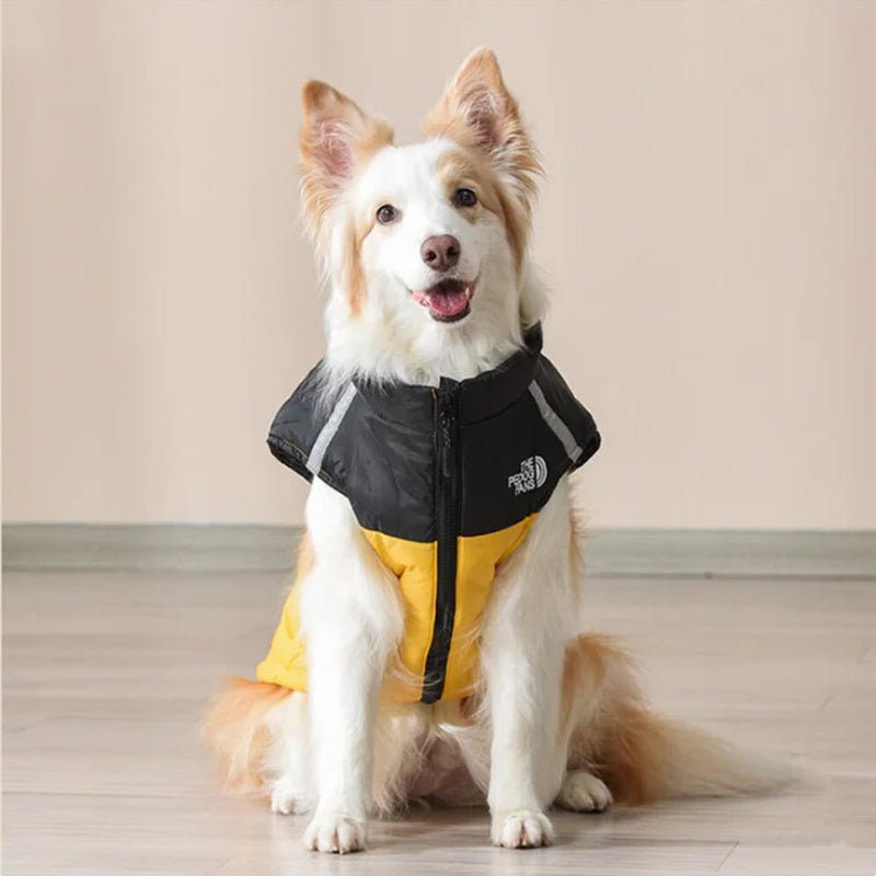 Waterproof Windproof Winter Dog Coat - Image 2