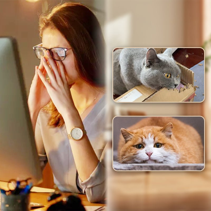 Interactive Cat Bouncy Ball with Feather - Image 2