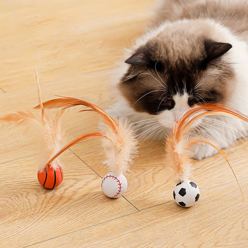 Interactive Cat Bouncy Ball with Feather