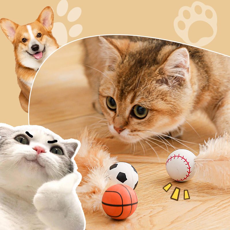 Interactive Cat Bouncy Ball with Feather - Image 3