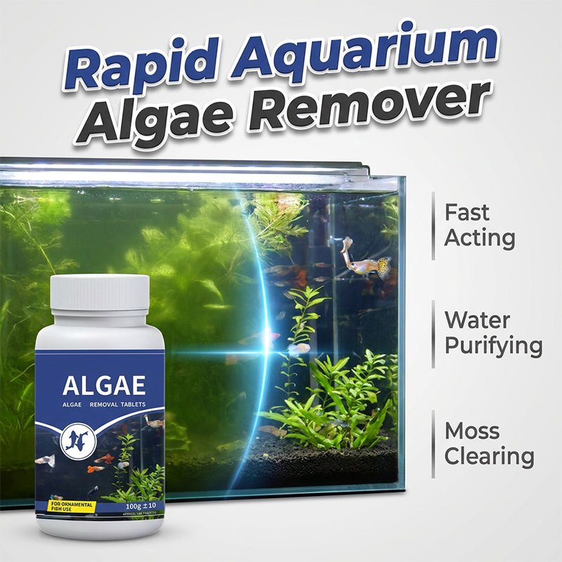 Fish Tank Algae Remover Tablets for Clear Water
