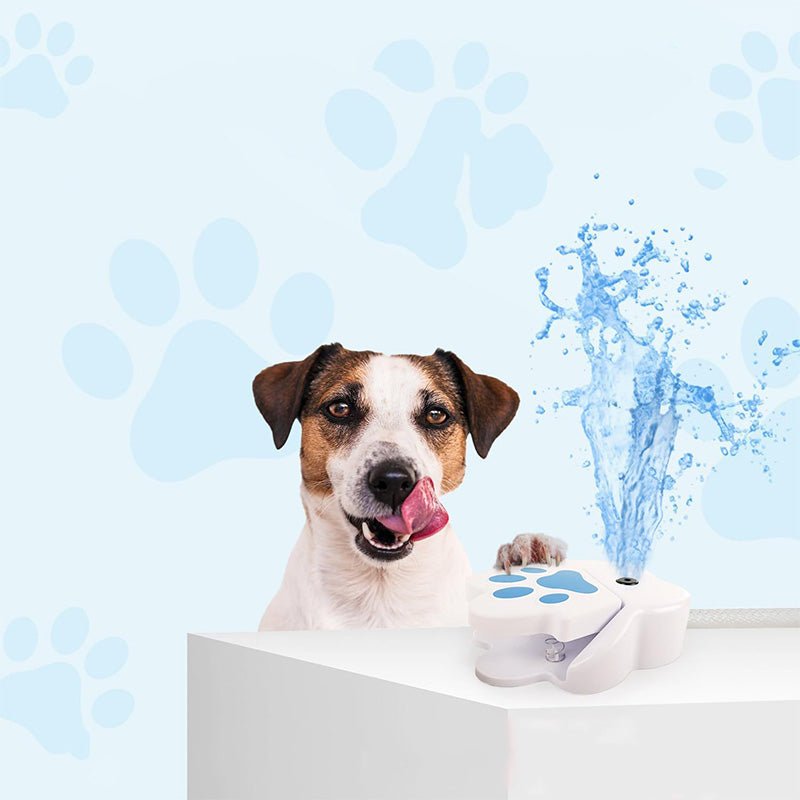 Dog Paw-Activated Water Fountain - Image 3