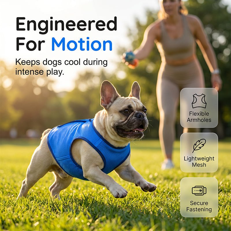 Cooling Dog Vest – Breathable Mesh, Heat Relief, Active Pets - Image 3