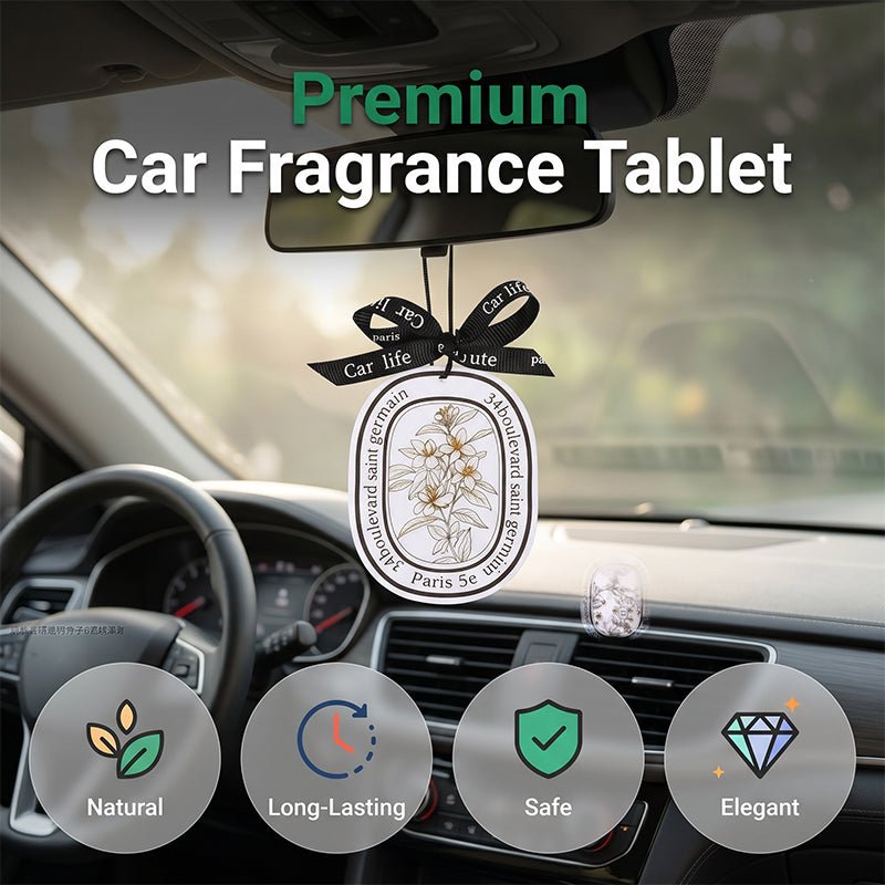 10 pieces Hanging Car Air Freshener Scent Card