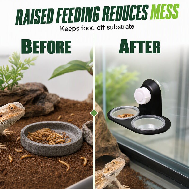 Double Reptile Feeding Ledge with Bowls - Image 2